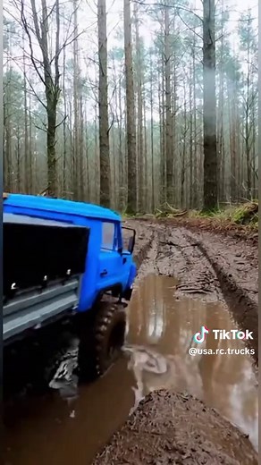 Ultimate RC Truck Mud Challenge Adventure