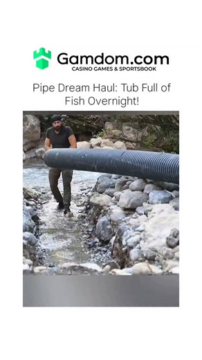 Trending reel on Instagram: "The video begins with a bearded man in a black shirt, beanie, and pants walking through a rocky stream while carrying a long, black corrugated pipe over his shoulder. He appears to be in a natural, forested area with flowing water and boulders around him. He lowers the pipe into the stream bed, positioning one end upright in a shallow dug-out spot, seemingly preparing the foundation for a trap by aligning it vertically. Next, the man digs a hole in the muddy stream b