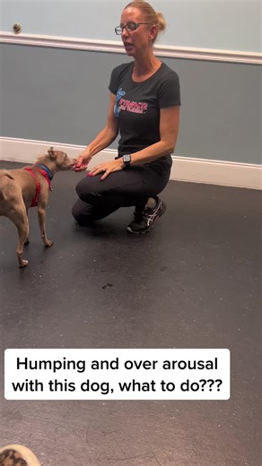 Jamie Diaz on TikTok