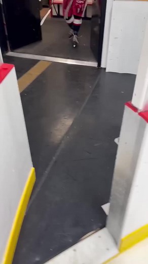 Asking the Redwings who they wouldnt let date there sister