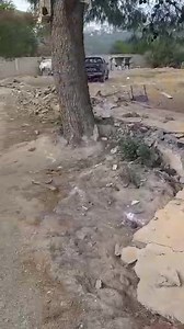 62K views · 833 reactions | MR AROIUAT MALEK DEMANDE LA PROTECTION DE L'ÉTAT PAR RAPPORT AU DÉGÂTS DE SON TERRAIN PAR DES INCONNUS _ VENDALISME ET HOGRA | Béjaia La Vérité | Facebook