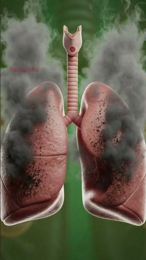 What Shisha Smoking Does to Your Body 🚬❌