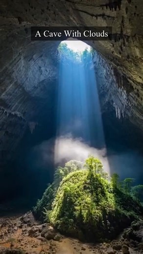 The Vietnamese Cave With Its Own Jungle and Clouds #shorts #facts