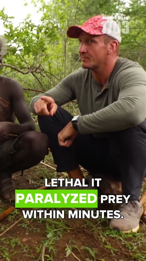 The Deadly Evolution of Poison Arrows