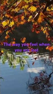 The way you feel when you are lost