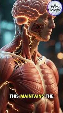 What is active transport? | Why Biology Q&A 19 | GK | #Shorts