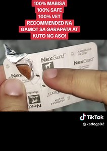 Mabisang Gamot sa Garapata ng Aso na 100% Safe