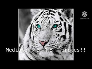 Shapeshifter spell! | (• ◡•)| (tested, works!!) -//read description//-