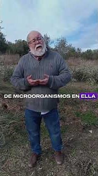 Esto es lo que realmente hace productivo un olivar 🚜