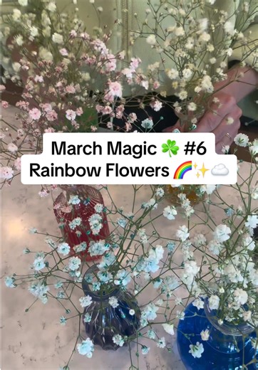 Rainbow Flower Experiment: Colors Transform Overnight