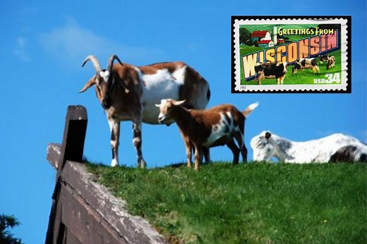 The True Story Of Door County, Wisconsin's Famous Restaurant With Goats On The Roof