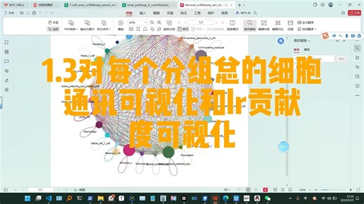 1.3对每个分组总的细胞通讯可视化和lr贡献度可视化详细教程