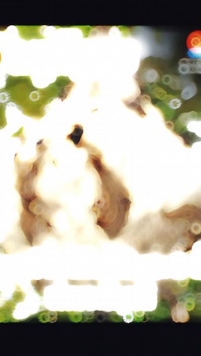 Intriguing Wasps: Nature's Skilled Builders