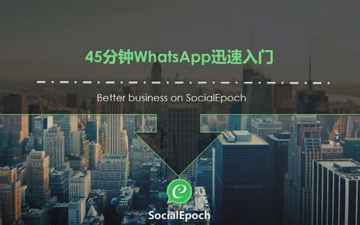 WhatsApp入门实战技巧，一个小时入门WhatsApp
