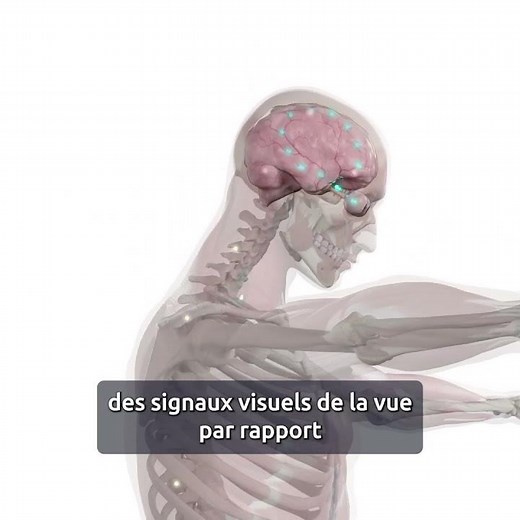 Entorse & Instabilité de la cheville – Maîtrisez la prise en charge complète