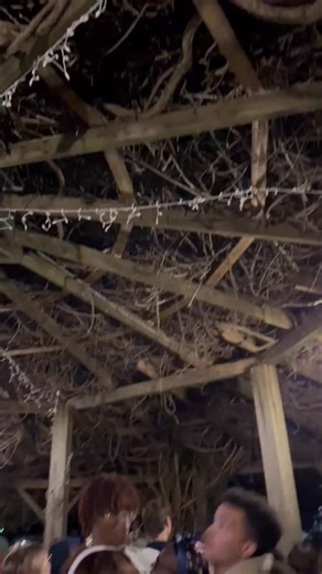 ITS LIT! @hood_sga hosted a special Pergola lighting ceremony ahead of Inauguration this Saturday! | Hood College