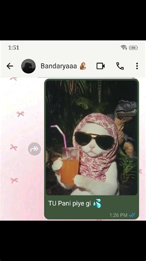 Funny Chat Moments That Will Make You Laugh