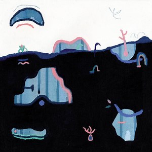 Cloth Vinyl Records & CDs For Sale | Norman Records