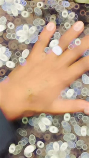 Ruli... (@ruli..04)’s videos with original sound - Ruli...