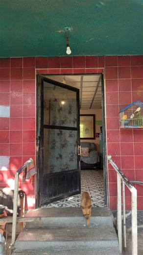 We were taught to push through. To ignore the pain. Y siempre “echarle ganas” through everything. But being first-gen also means we get to choose better. I’m proud to partner with NY State of Health to help our community say yes to healthcare, yes to support, and yes to taking care of ourselves and our families! 🤍 Affordable health insurance is available, and yes, there are real people who can help you sign up ~ online, by phone, or in person. Open Enrollment ends January 31st 🗓️ | Viviana Vaz