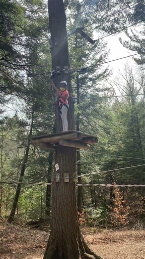 Tree top climbing adventure 🌴🎄 #shortvideo