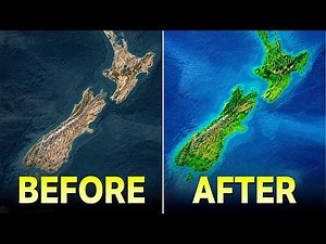 How 800 Million Trees Are Reversing New Zealand's Predator Invasion Disaster