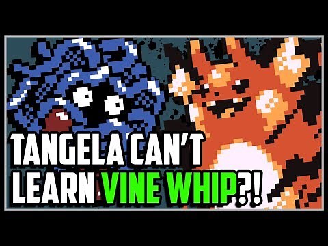 51 WEIRDEST Things in Pokemon!