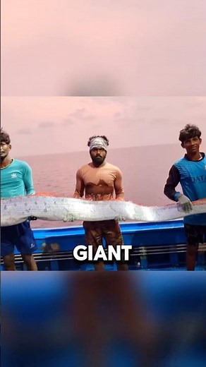 The impossible pudding challenge! #fishingshow #facts #fishpetfun