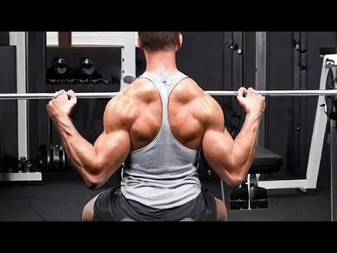Smith Machine Shoulder Press for Massive Shoulder Gains!