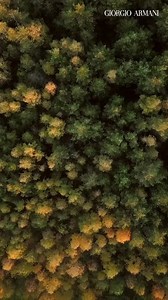 For a more sustainable future. The ARMANI CODE EAU DE TOILETTE embodies Giorgio Armani’s commitment to sustainability. Blending some sustainably-sourced sustainably-sourced ingredients, including green mandarin from Calabria, Italy, lavandin heart from Provence, France, and natural-origin ingredients Tonka Bean absolute and Cedar Wood heart. All encapsulated in the iconic, refillable bottle. Discover it here at www.fresh.com.ph #Armanibeauty #ArmaniCode #Fragrance #freshph | FRESH | Facebook