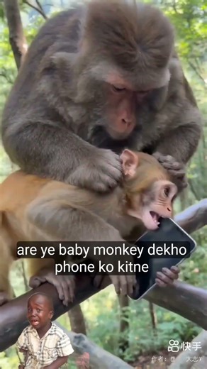 awesome 🐒।I thanked my friend, Bandar। comedy😱👽