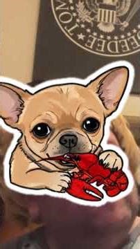 First position harmonica 5 4 1