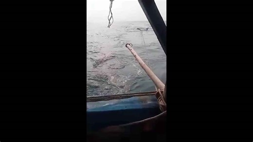 Vietnam tornado overturns raft killing mother and son