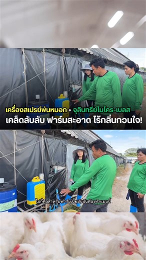 🐔💨 เคล็ดลับใช้เครื่องสเปรย์พ่นหมอก จุลินทรีย์ Micro-Blaze เพื่อลดปัญหาแอมโมเนียส่งกลิ่นเหม็นจนชุมชนร้องเรียน! #ฟาร์มสะอาด #MicroBlaze #เครื่องสเปรย์พ่นหมอก #จุลินทรีย์ฟาร์ม #ลดกลิ่นฟาร์ม #SmartFarming #AgriTech #CleanFarm #สุขภาพไก่ดี | Micro Environmental