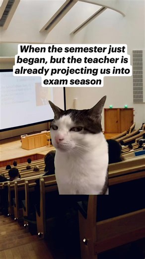 stress about assignments don't wory we are here to help.you out😉dm us now🫠 #assignmenthelper #unitedkingdom #studentlifeuk #unistress #fyp