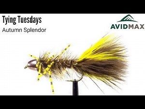 How to tie an Autumn Splendor | AvidMax Fly Tying Tuesday Tutorials