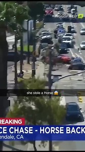 20M views · 33K reactions | SHE STOLE A HORSE. FROM A ZOO. IN BROAD...