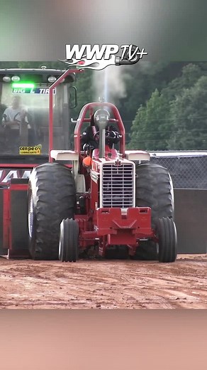 Shoaibali786✔️ on TikTok