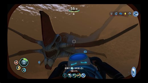 震惊，深夜与神秘生物纠缠，嚎叫声不断