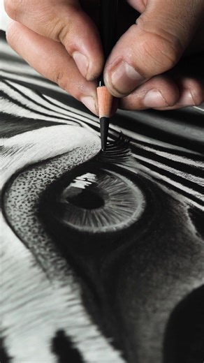 Captivating Hyperrealism: Rate This Zebra Eye
