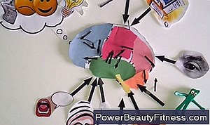 À Quoi Sert Duoderm? 💪💪 Tout À Propos Des Modes De Vie Sains Et De Remise En Forme - 2025