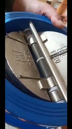 Dual plated wafer check valve,detail showing about valve disc