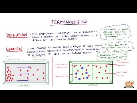 Definition of Diffusion, Osmosis and Types of Solutions