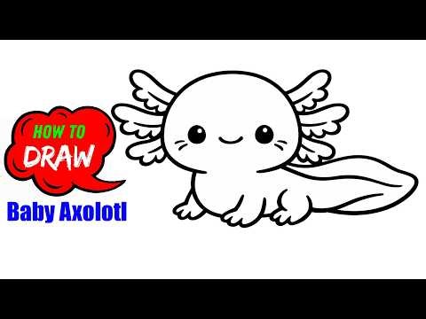 How to Draw a CUTE Baby Axolotl Easy Step by Step for Beginners