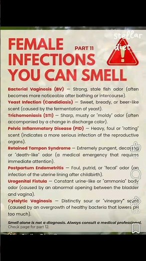 “🚨 8 Female Infections You Can SMELL 😳 Don’t Ignore These Warning Signs!”