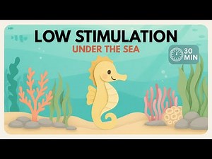 30 Minutes of Calm Underwater Sensory Visuals | Relaxing Ocean Video for Babies & Toddlers