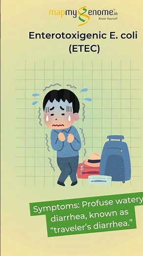 The 5 Types of E. coli That Cause Diarrhea | Dr. Brett Finlay’s Microbiome Research Explained