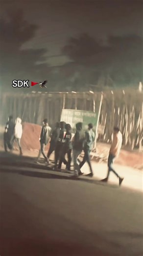 Exploring SDK: A Guide to Its Significance