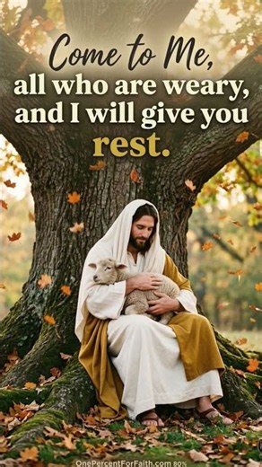 Find Your Rest Song #verseoftheday #songoftheday #cometojesus #jesusgivesrest #wordofgod #shortsfeed