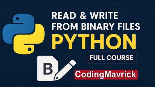 Python Binary Files and Serialization for Efficient Data Storage | Shafqat Altaf posted on the topic | LinkedIn